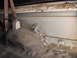 Truck Bedliner 097.JPG